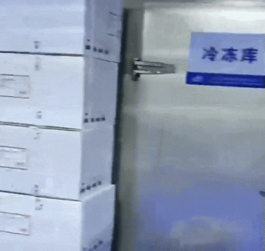 6f1f9b52-9c6e-4ee8-8ddf-2a08980d77f8.gif